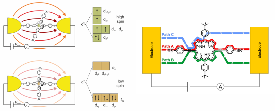 Concept of EF triggered Fe(II) complex and porphyrin channels